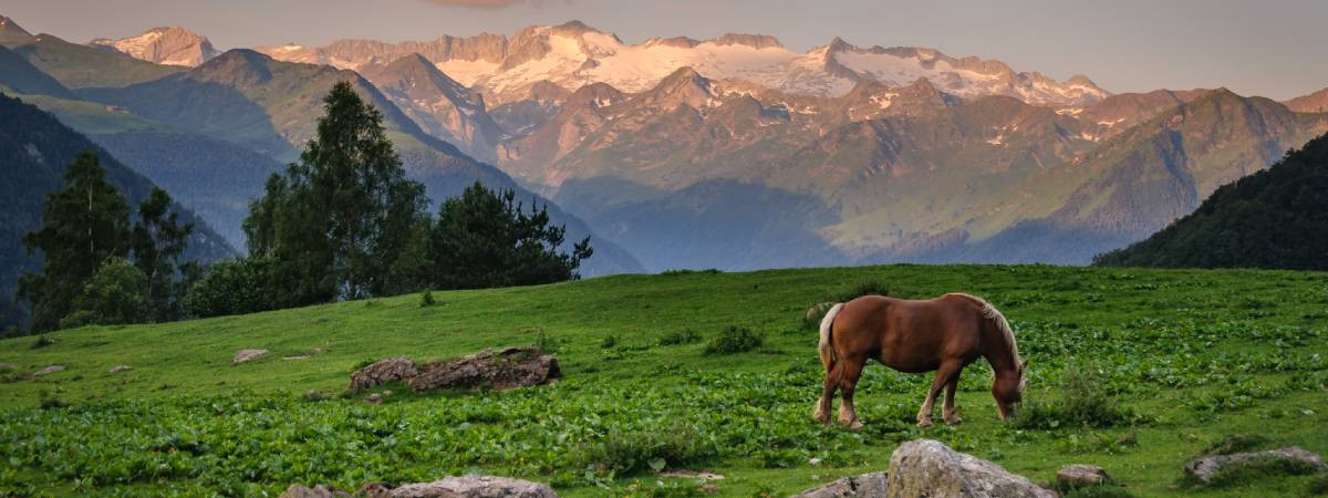 Le Val d Aran des villages entourés par la nature dans les Pyrénées