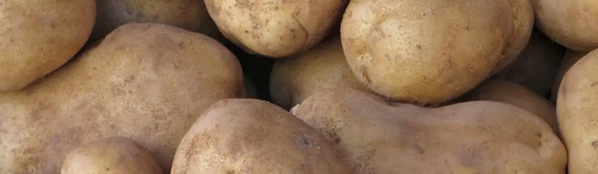 Patates de Prades