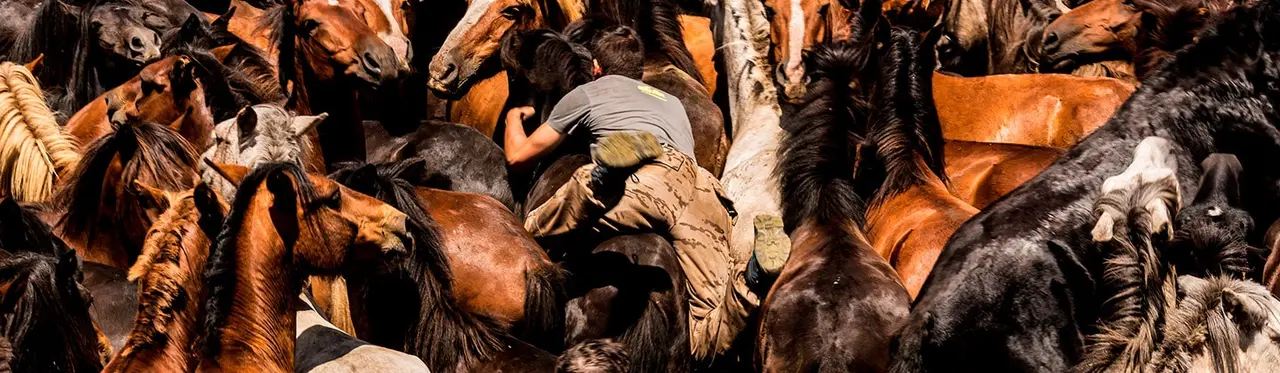 Dónde dormir en Sabucedo