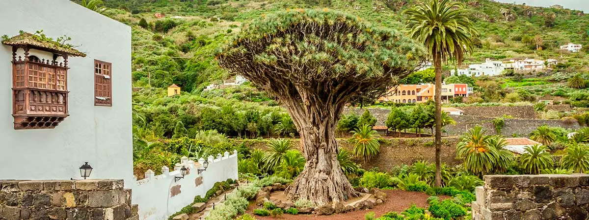 Icod de los Vinos, Tenerife