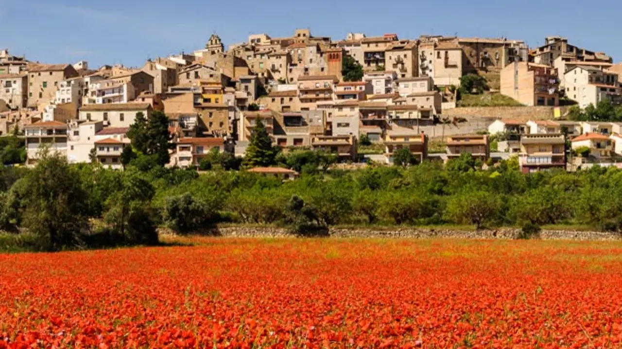 Dónde dormir en Horta De Sant Joan