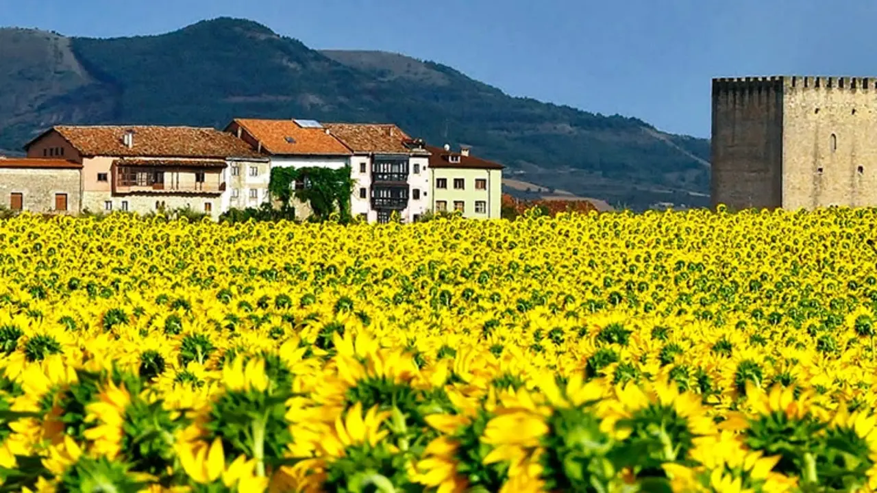 panoramica-medina-de-pomar2