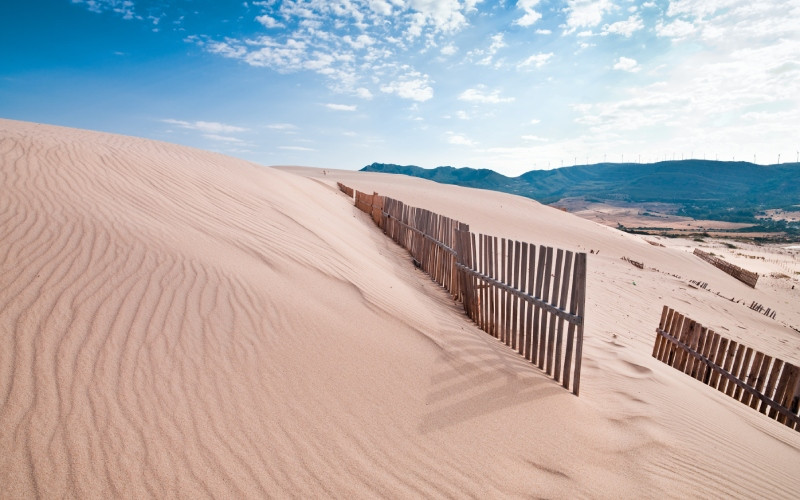 Dunes de la plage de Bolonia de Tarifa