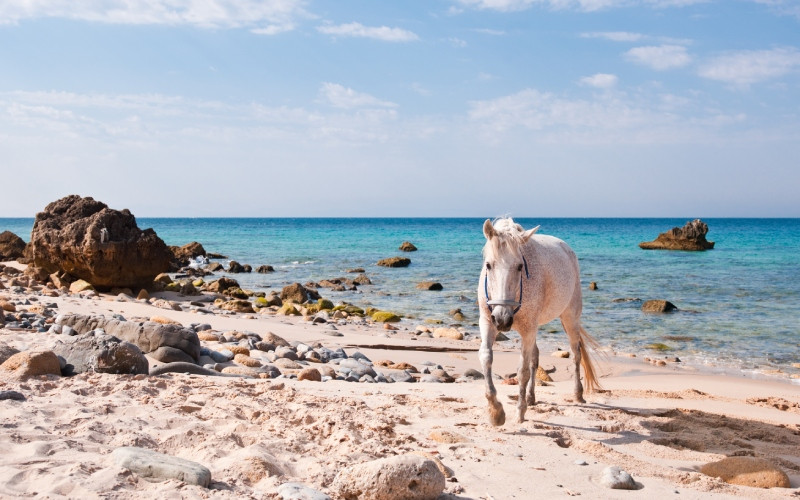 Plage de Bolonia de Tarifa