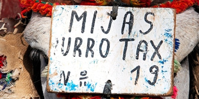 Mijas burrotaxi