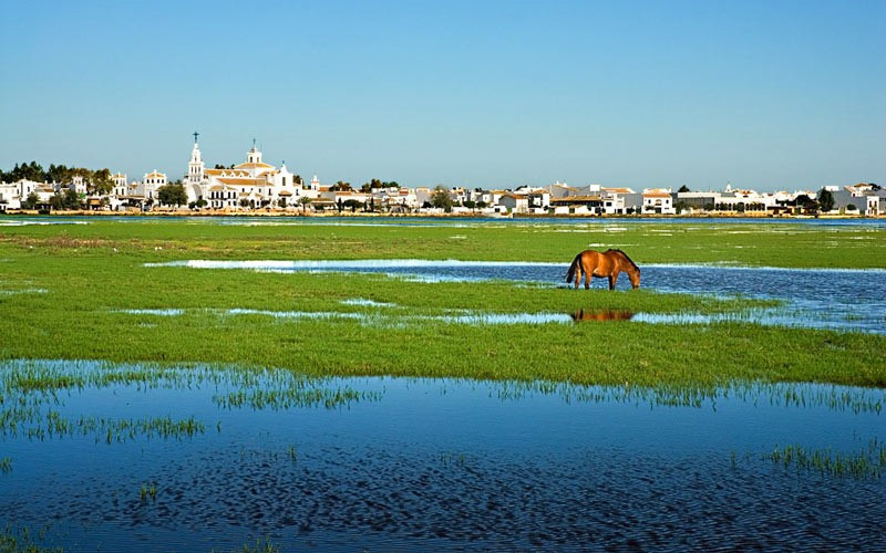 Doñana