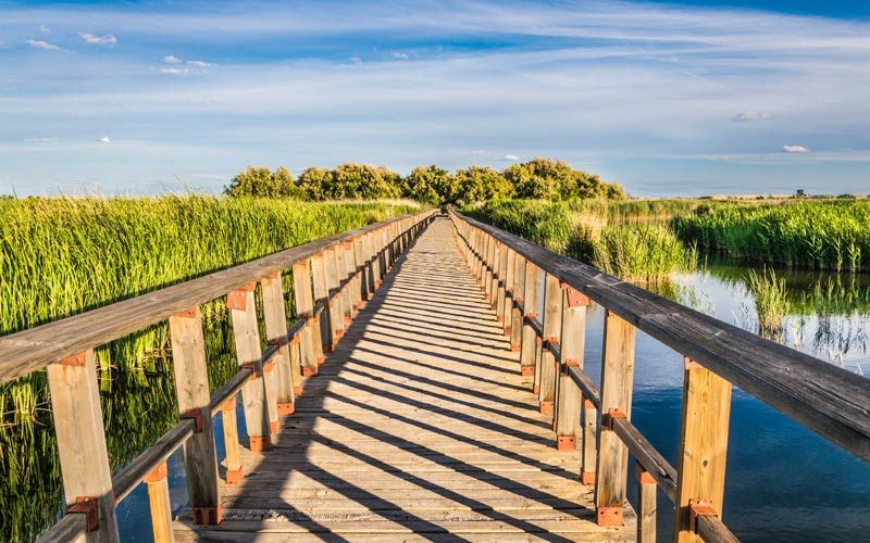 Tablas de Daimiel