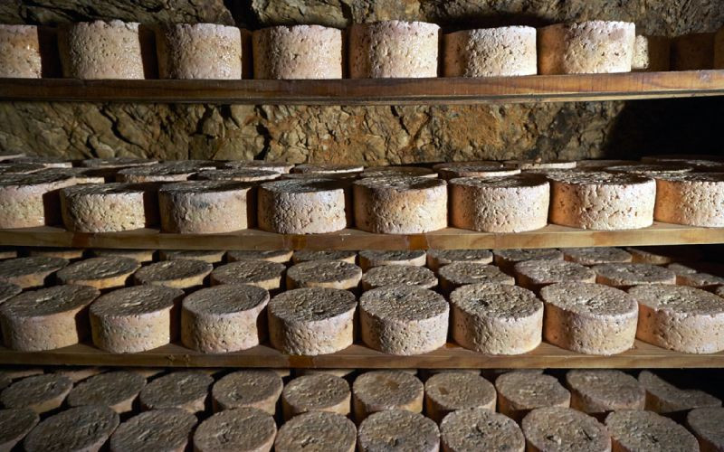 Fromages de Cabrales mûrissant