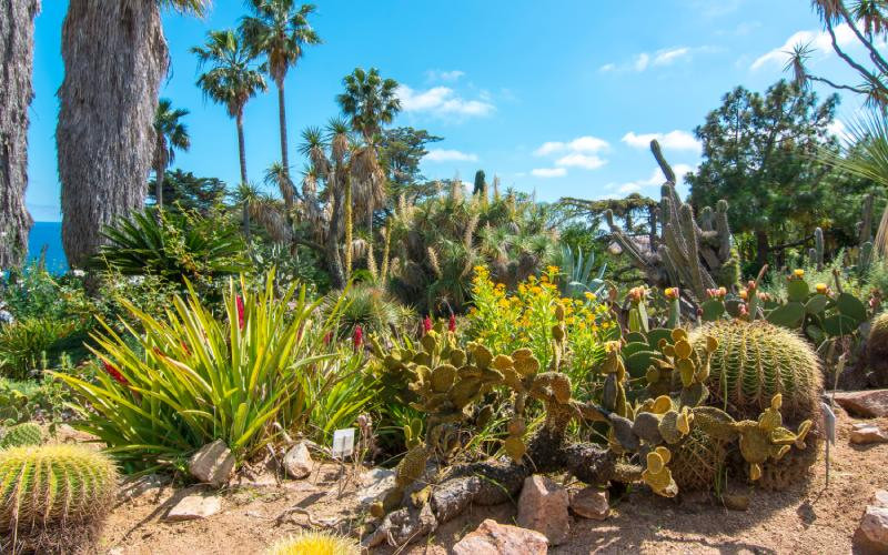 Les espèces du jardin s'étendent sur les cinq continents