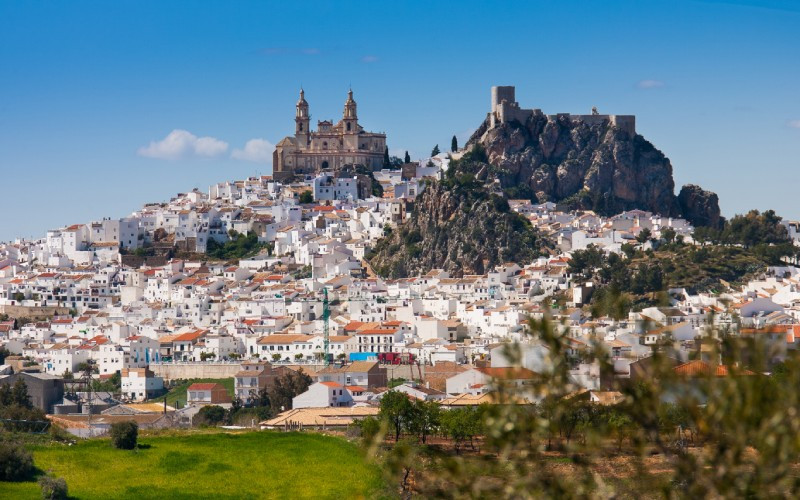 Vue panoramique du village d'Olvera, mettant en évidence l'église de Nuestra Señora de la Encarnación et le château