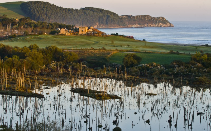 Végétation du parc naturel d'Oyambre