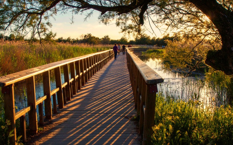 Las Tablas de Daimiel au coucher du soleil