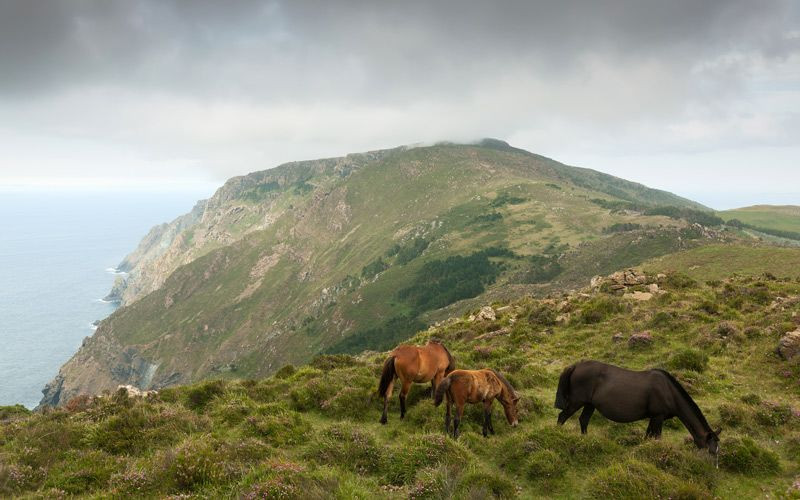 Montagnes de Capelada