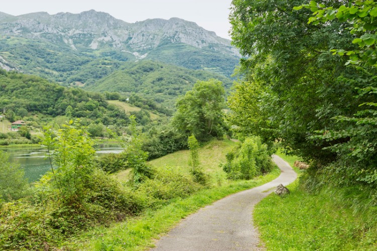 Le Sentier de l’ours