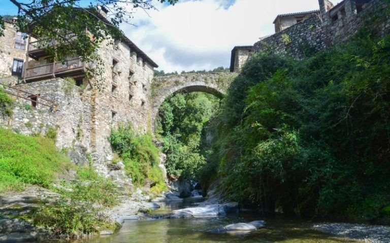 Beget 