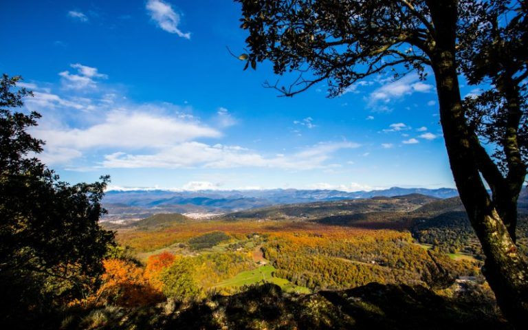 Plusieurs sentiers traversent cette hêtraie avec les Pyrénées en arrière-plan