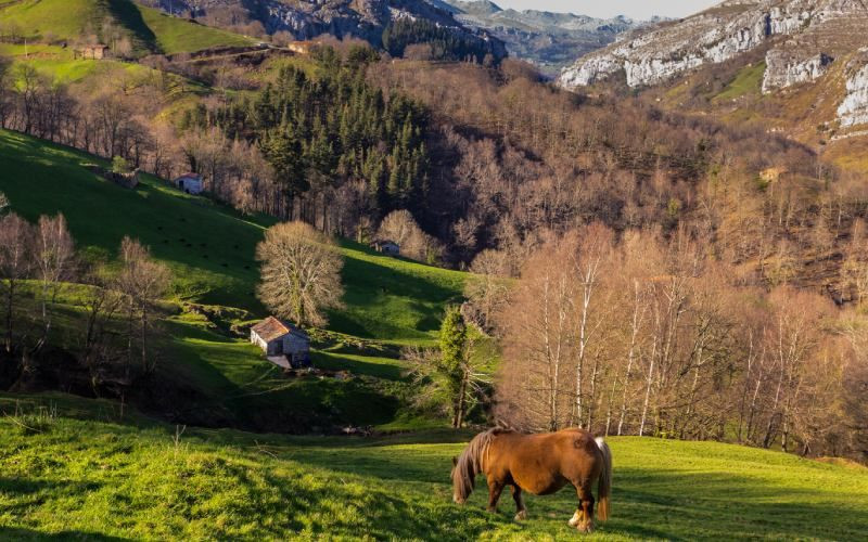 Une vue des vallées Pasiegos