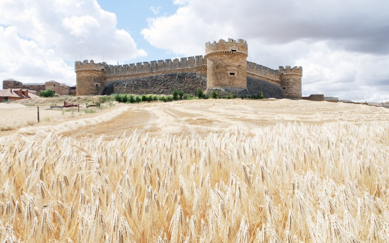 Le château de Grajal de Campos au loin