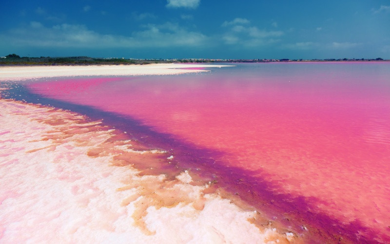 Lagune rose de Torrevieja