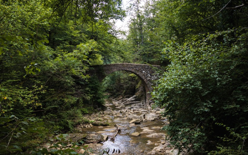 Pont roman de Salgueda