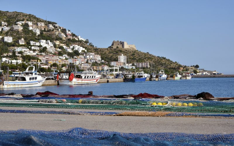 Rosas en bord de mer