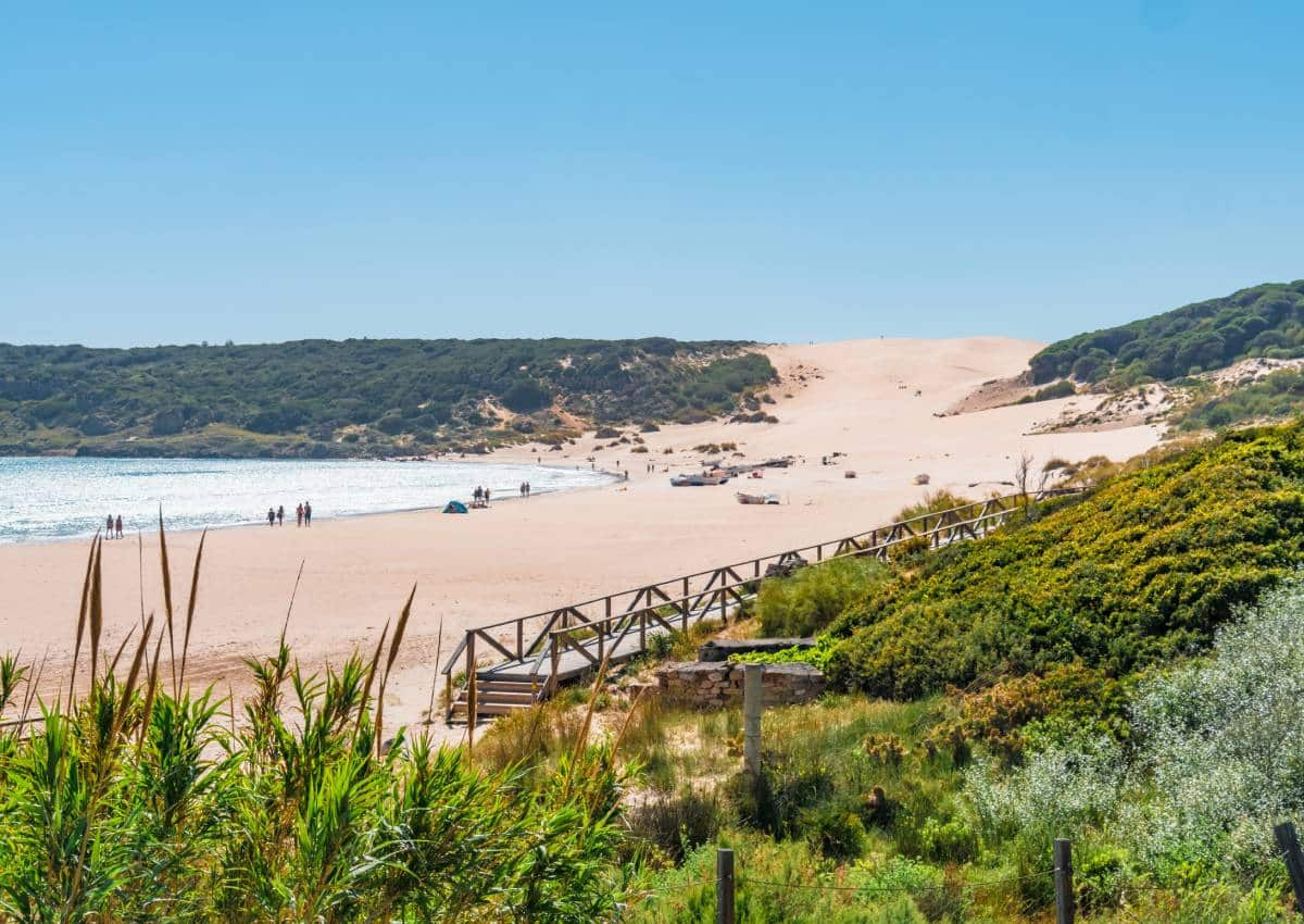 La dune de la plage Bolonia