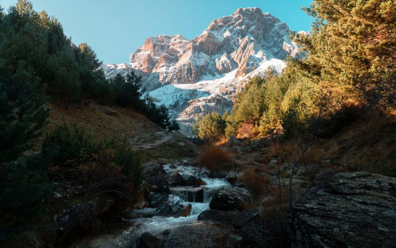 La forêt de Betato