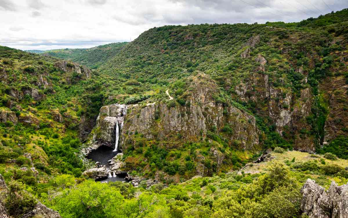 La cascade et ses entourages