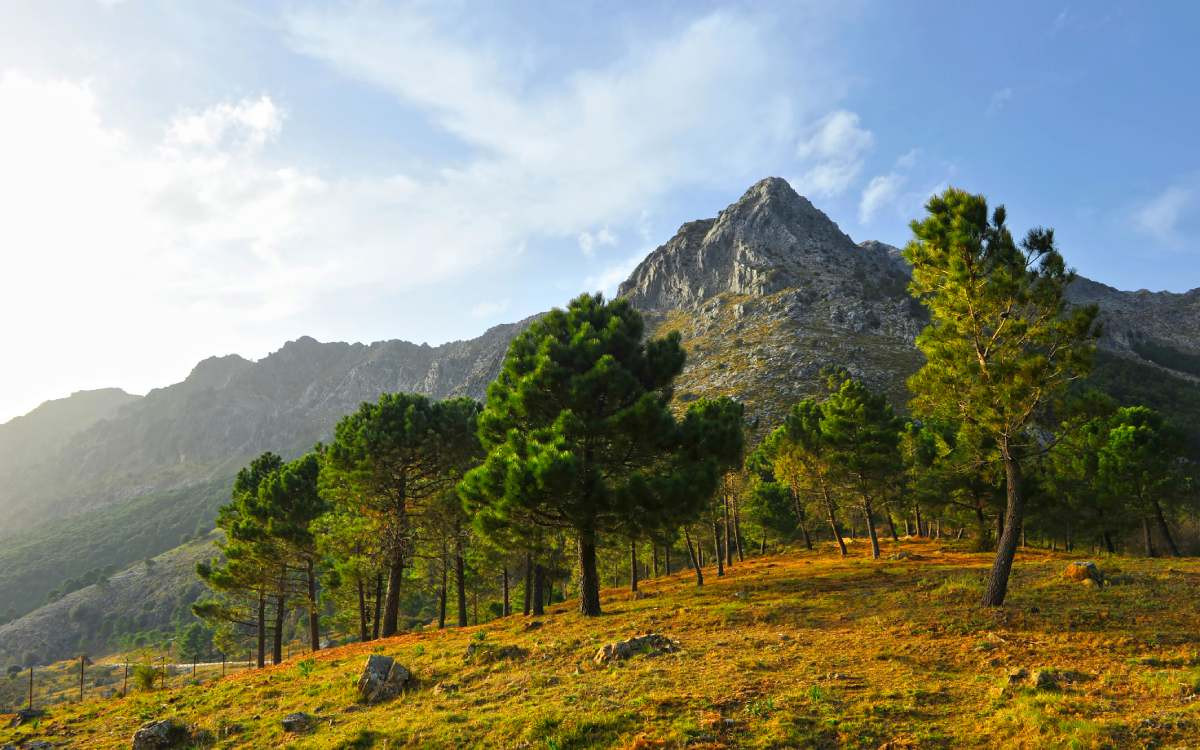 Parc naturel de la Sierra de Grazalema