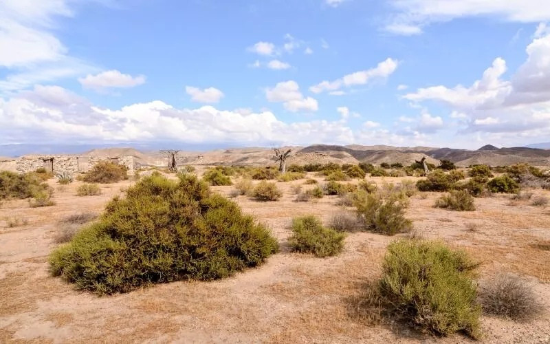 Le désert de Tabernas, seul véritable désert d'Europe.