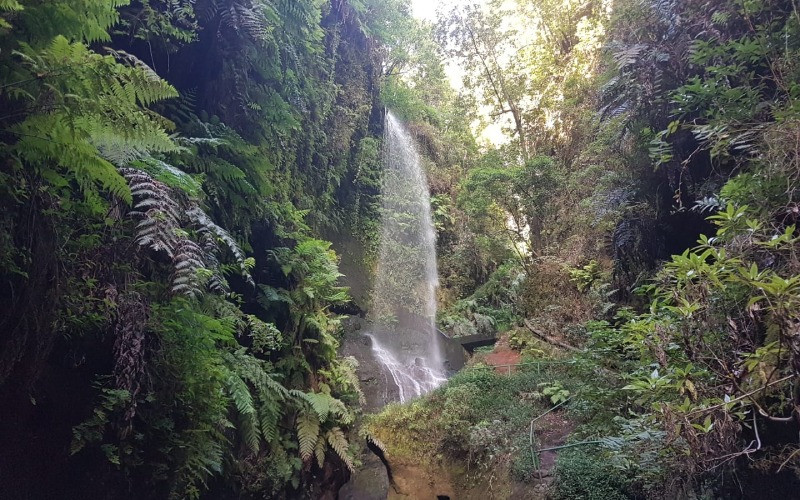 Cascade Los Tilos