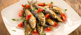 sardinas baga