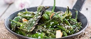 pimientos padron