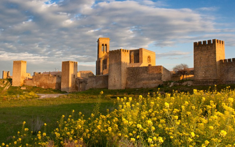 Forteresse d'Artajona et l'église de San Saturnino