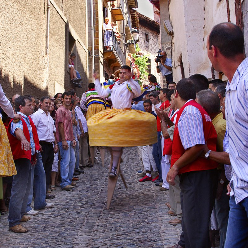 Échassiers d'Anguiano