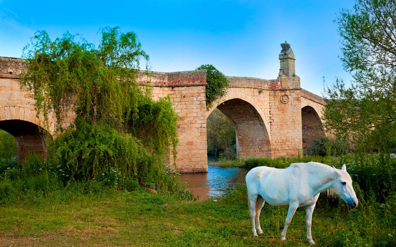 pueblos de la vía de la plata