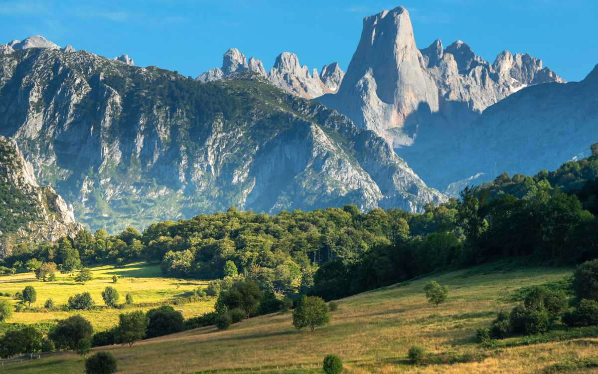 Naranjo de Bulnes