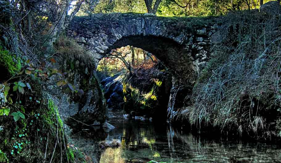 puente viesgo ledesma