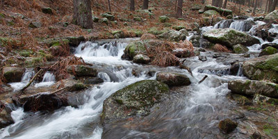 rio cega navafria