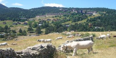 Dónde dormir en La Molina