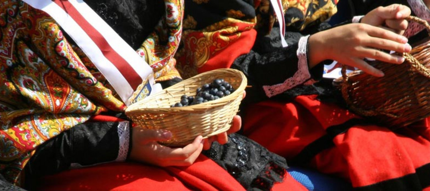 fête de la saint mathieu rioja