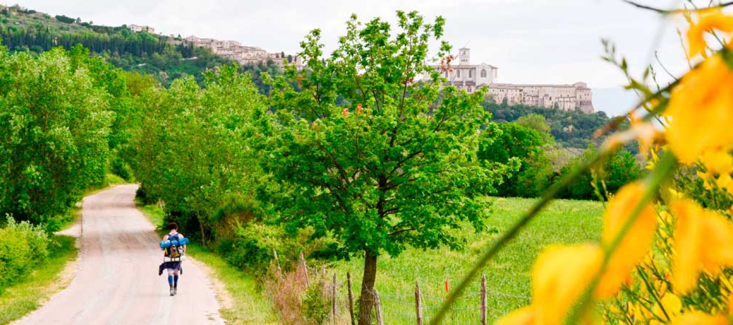 camino de santiago solo