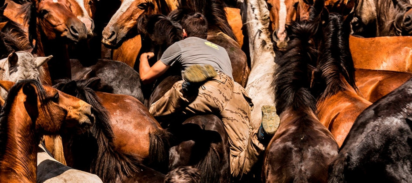 Dónde dormir en Sabucedo