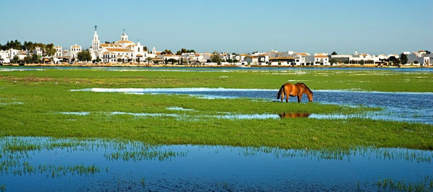 Ciudades perdidas de Epsana Donana y Tartessos