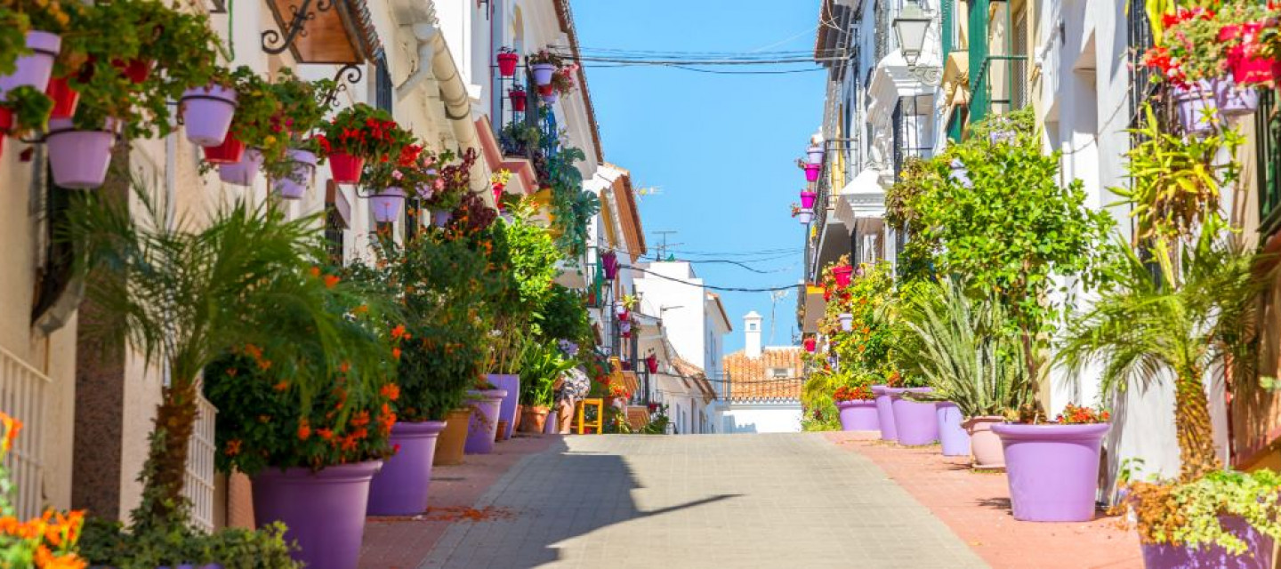 Poblacion andaluza flores