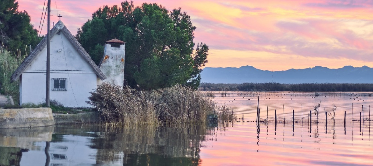 albufera