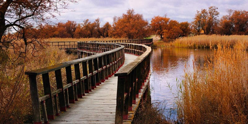 Lacs des Tablas de Daimiel