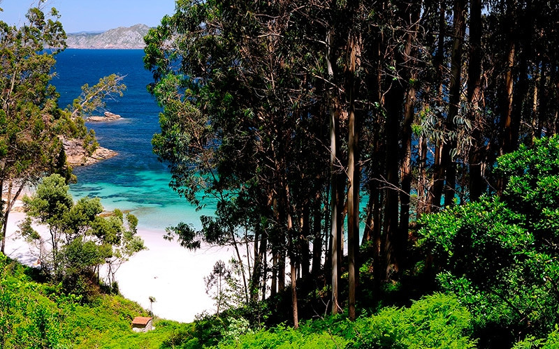 Plage de Figueiras