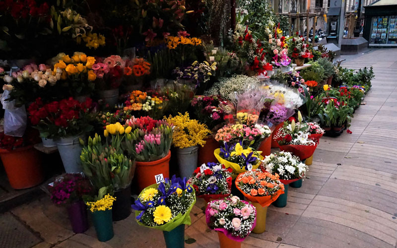 Ramblas de Barcelone