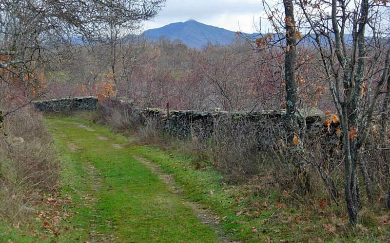 Prairie à bœufs de Montejo de la Sierra